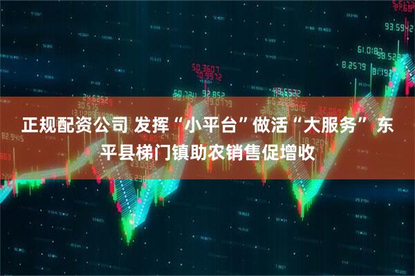 正规配资公司 发挥“小平台”做活“大服务” 东平县梯门镇助农销售促增收