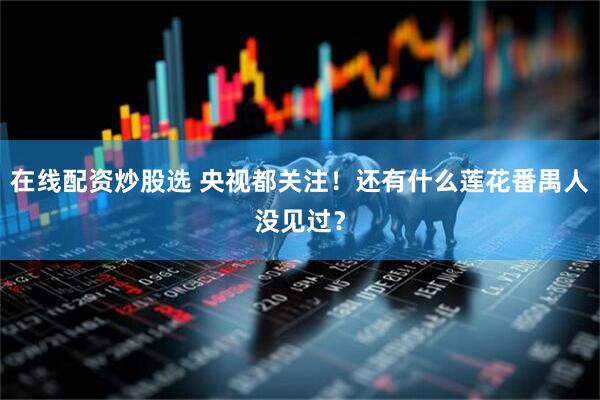 在线配资炒股选 央视都关注！还有什么莲花番禺人没见过？