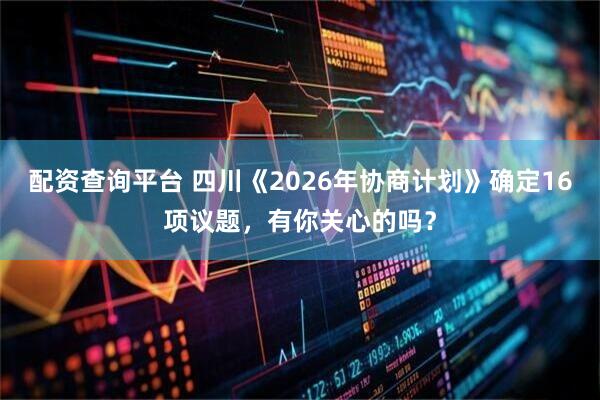 配资查询平台 四川《2026年协商计划》确定16项议题，有你关心的吗？
